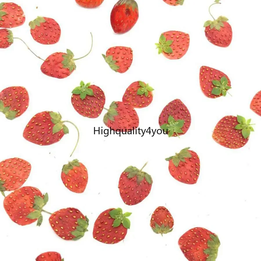Dried Flower Bookmark - 10 stks Gedroogde Geperst Mini Fruit